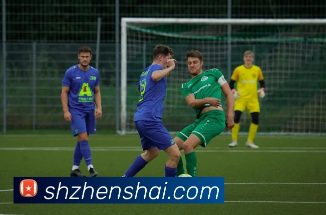 多媒体互动体验