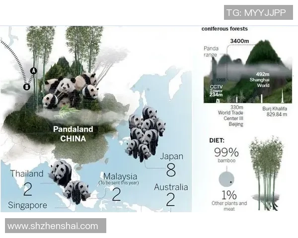 赖斯的外交智慧与全球影响力探讨：历史与未来的交汇点